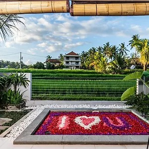 *** Bed and breakfast Putih Dcarik Indonesia